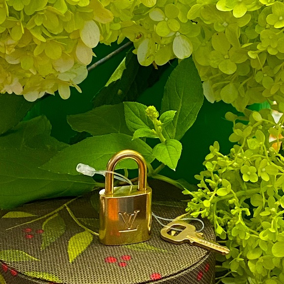 Louis Vuitton 🔐 lock and key set - Picture 1 of 3